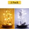 Fairy Lights Battery Operated Mini String Lights Copper Wire Twinkle Lights